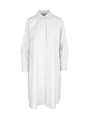 Max Mara Pleat Detailed Shirt Dress